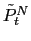 $ \tilde{P}_{t}^{N}$