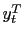 $ y_{t}^{N}$