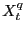 $ X_{t}^{q}$