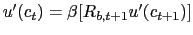 $ u^{\prime}(c_{t})=\beta[R_{b,t+1} u^{\prime}(c_{t+1})]$
