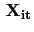 $ \, \mathbf{X_{it}}$