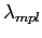 $ \lambda_{mpl}$