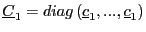 $ \underline{C}_{1}=diag\left( \underline{c} _{1},...,\underline{c}_{1}\right) $
