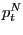 $ p_{t}^{N} $
