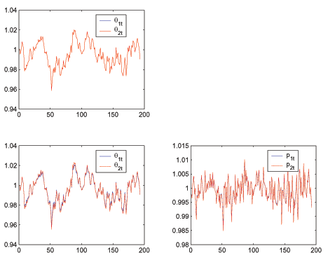 The top panel of the Figure 1 shows log deviations of Pareto-optimal market tightness in the cash- and credit-good sectors. The bottom left panel shows the same information for Rasmey-optimal market tightness. Comparing the two, we see that the dynamics of market tightness under the Ramsey equilibrium and the socially optimal equilibrium are identical. The bottom right shows the dynamics of the price of cash and credit goods in the Ramsey equilibrium. The price dynamics for each good are identical implying that the relative price is constant in the Ramsey equilibrium.