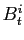 $ B_{t}^{i} $