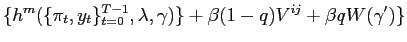 $\displaystyle \{h^{m}(\{\pi_{t},y_{t}\}_{t=0}^{T-1},\lambda,\gamma)\}+\beta(1-q)V^{ij}+\beta q W(\gamma^{\prime})\}$
