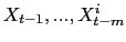 $ X_{t-1},...,X_{t-m}^{i}$