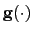 $ \mathbf{g}(\cdot)$
