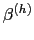 $ \beta^{(h)}$