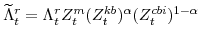 \displaystyle \widetilde{\Lambda}^{r}_{t} =\Lambda^{r}_{t}Z^{m}_{t}(Z^{kb}_{t})^{\alpha}(Z^{cbi}_{t})^{1-\alpha}