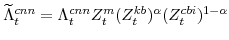 \displaystyle \widetilde{\Lambda}^{cnn}_{t} =\Lambda^{cnn}_{t}Z^{m}_{t}(Z^{kb}_{t})^{\alpha}(Z^{cbi}_{t})^{1-\alpha}