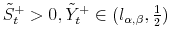  \tilde{S}_{t}^{+}% >0,\tilde{Y}_{t}^{+}\in(l_{\alpha,\beta},\frac{1}{2})