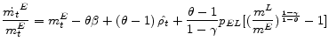 \displaystyle \frac{\dot{m_{t}}^{E}}{m^{E}_t}=m^{E}_t-\theta \beta +(\theta -1)\,\hat{\rho_t}+\frac{\theta -1}{1-\gamma } p_{EL} [ (\frac{m^{L}}{m^{E}})^{\frac{1-\gamma}{1-\theta}}-1 ]
