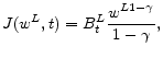 \displaystyle J(w^L,t)=B_t^L \frac{w^{L 1-\gamma}}{1-\gamma} ,