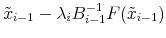 \displaystyle \tilde{x}_{i-1} - \lambda_iB_{i-1}^{-1}F(\tilde{x}_{i-1})