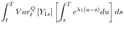 \displaystyle \int_{t}^{T}Var_{t}^{Q}\left[ Y_{1s}\right] \left[ \int_{s}^{T}e^{\lambda _{1}(u-s)}du\right] ds