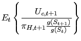 $\displaystyle E_{t}\left\{ \frac{U_{c,t+1}}{\pi _{H,t+1}\frac{g(S_{t+1})}{g(S_{t})}}\right\}$