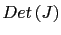 $\displaystyle Det\left( J\right)$