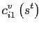 $\displaystyle c_{i1}^{v}\left( s^{t}\right)$