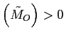 $ \left( \tilde{M}_{O}\right) >0 $