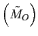 $ \left( \tilde{M}_{O}\right) $