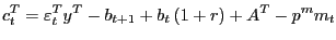 $\displaystyle c_{t}^{T} =\varepsilon_{t}^{T} y^{T}-b_{t+1} +b_{t} \left( {1+r} \right) +A^{T}-p^{m}m_{t}$