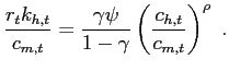 $\displaystyle \frac{r_{t} k_{h,t}}{c_{m,t}} = \frac{\gamma\psi}{1-\gamma} \left( \frac{c_{h,t}}{c_{m,t}}\right) ^{\rho}~.$