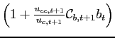 $ \left(1 + \frac{u_{cc,t+1}}{u_{c,t+1}}\mathcal{C}_{b,t+1}b_{t}\right)$