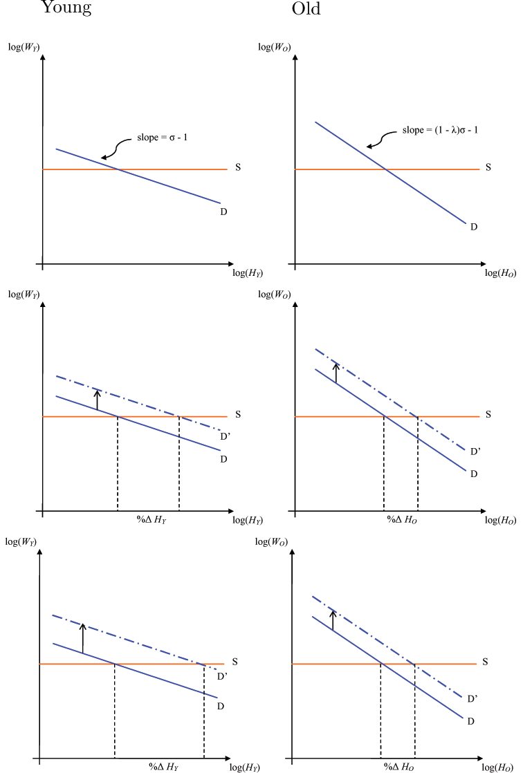 Displays six panels , those on left being for 'young' and those on right being for 'old'. For all panels, Red lines labeled 'S' depict the labor supply curves derived from the household's FONCs with Rogerson-Hansen preferences in log-log space with common slope Theta _Y = Theta _O = 0; blue lines labeled 'D' depict labor demand curves. Top panel: slope of demand curve for HY is flatter than the demand curve for HO. Middle panel: we abstract from the wealth effects of a productivity shock on the labor supply since they are identical across young and old; the shock causes both demand curves to shift up; the relative slope effect is evident in % change in HY > %_HO. Bottom panel: the 'relative shift' effect is evident from the labor demand for HY shifting up by more than for HO, increasing %HY even more.
