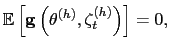$\displaystyle \mathbb{E}\left[ \mathbf{g}\left( \mathbf{\theta}^{(h)},\mathbf{\zeta} _{t}^{(h)}\right) \right] =0,$