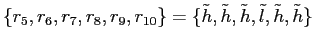 $ \{r_{5},r_{6},r_{7},r_{8},r_{9},r_{10}\}=\{\tilde h, \tilde h, \tilde h, \tilde l, \tilde h, \tilde h\}$
