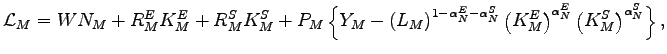 $\displaystyle \mathcal{L}_{M}=WN_{M}+R_{M}^{E}K_{M}^{E}+R_{M}^{S}K_{M}^{S}+P_{M}\left\{ Y_{M}-\left( L_{M}\right) ^{1-\alpha _{N}^{E}-\alpha _{N}^{S}}\left( K_{M}^{E}\right) ^{\alpha _{N}^{E}}\left( K_{M}^{S}\right) ^{\alpha _{N}^{S}}\right\} ,$