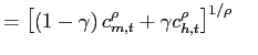 $\displaystyle = \left[ \left( 1-\gamma\right) c_{m,t}^{\rho}+ \gamma c_{h,t}^{\rho}\right] ^{1/\rho} ~~~$