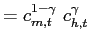 $\displaystyle = c_{m,t}^{1-\gamma} ~ c_{h,t}^{\gamma}~~~$