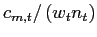 $ c_{m,t}/\left( w_{t} n_{t}\right) $