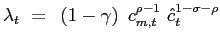 $\displaystyle \lambda_{t} ~=~ \left( 1-\gamma\right) ~ c_{m,t}^{\rho-1} ~ \hat{c}_{t}^{1-\sigma-\rho}$