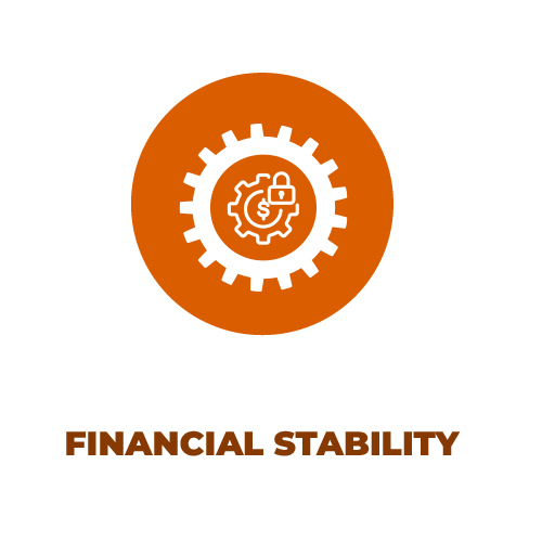 Learn more about Fed Function 2: Financial Stability