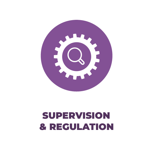 Learn more about Fed Function 3: Supervision & Regulation