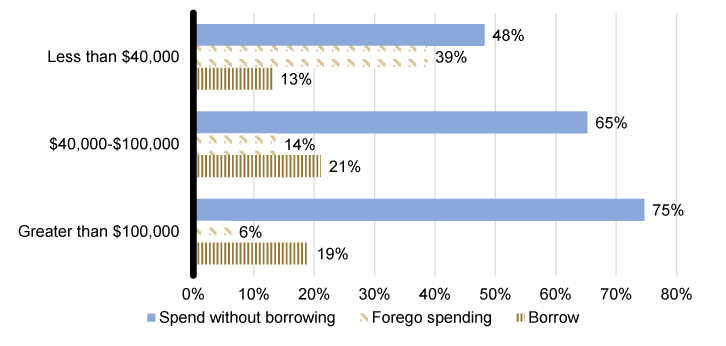 Figure 2: Holiday spending and borrowing decisions (by family income). See accessible link for data.
