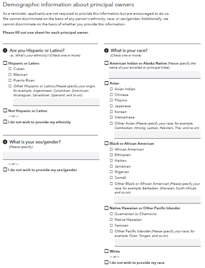 Demographic information about principal owners